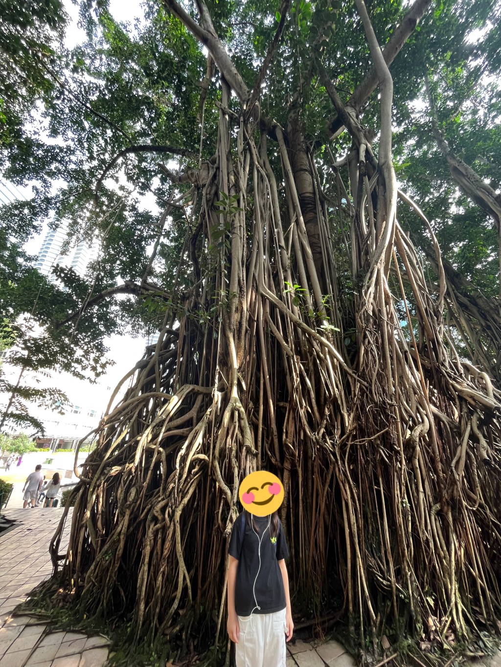 スカイウォークとKLCC公園